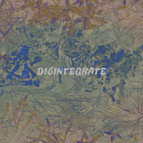 Disintegrate (prod. ElectricWave)