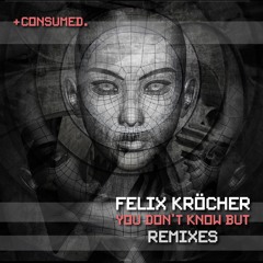 Premiere | Felix Krocher You Don't Know But (Nuria Ghia Remix)