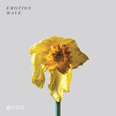 Various artists - 'Daffodils' compilation sampler