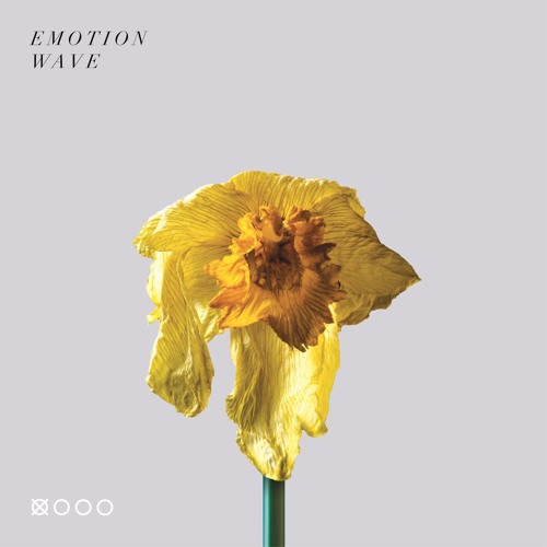Various artists - 'Daffodils' compilation sampler