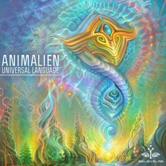 Universal Language E.P. - Believe Lab 2017 - Previews -