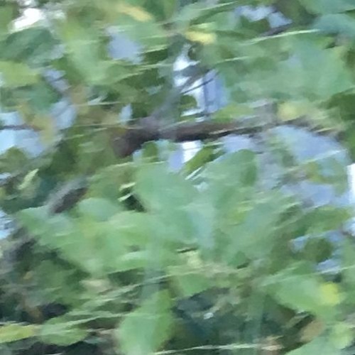 júníus meyvant - signals (uglyyyy flip)