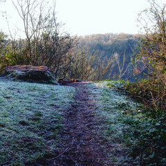 Silence. In The Age Of Noise