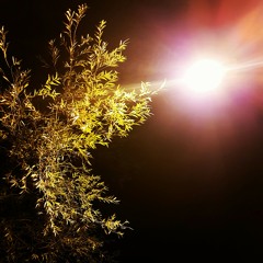 Bring Ya Down (Martin D18)