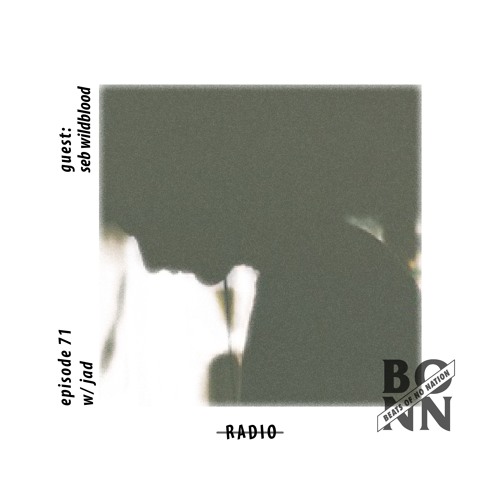 Episode 71 Part B Featuring Seb Wildblood