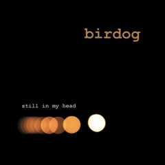 Still In My Head