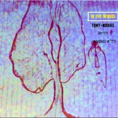 In The Words - Tony+Morris/Myrh (mindless m*z*k warp)
