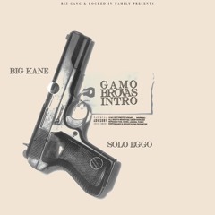 Gamo Brovas Intro ft. Big Kane