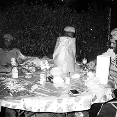 THIS SONG IS A SAFE SPACE (feat. Freaky & Black Sheep Refugees) [Produced By JPEGMAFIA]