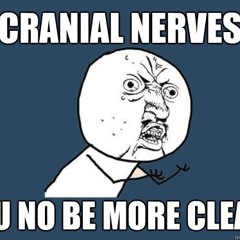 Cranial Nerves