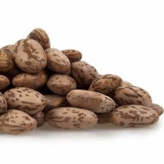 PINTO ft Benji x Thronson