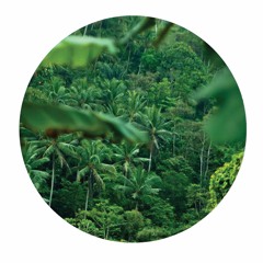 PALMS009 // Lock Eyes - Vanished EP