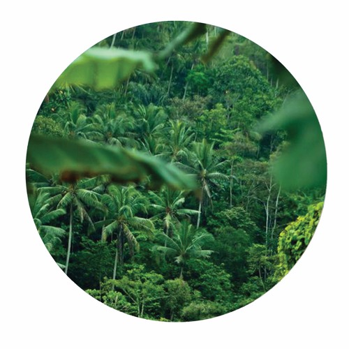 PALMS009 // Lock Eyes - Vanished EP