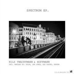 Nils Twachtmann & Hoffmann - Spectrum (Dolph Remix)