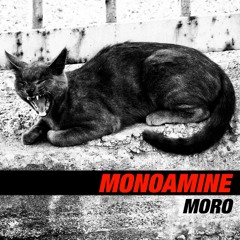 TH132_Monoamine_Moro