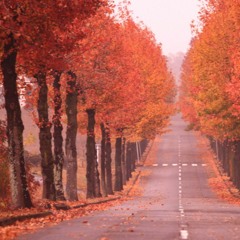 In the Autumn wind