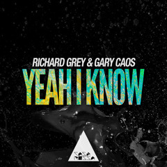 Richard Grey, Gary Caos - Yeah I Know (Original Mix)