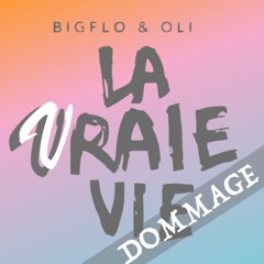 Big Flo & Oli - DOMMAGE (Vic C Accoustic Rework)