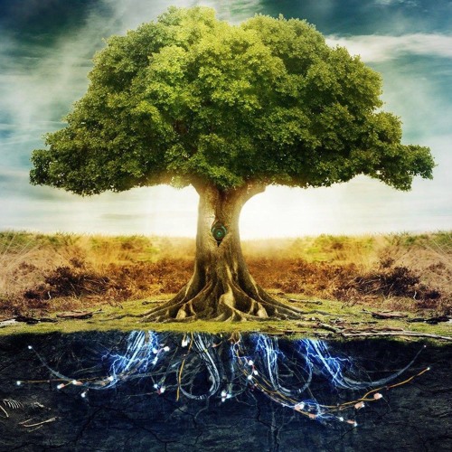 New Beginning (By Florian Bochkovsky)