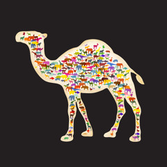 Desert Dweller