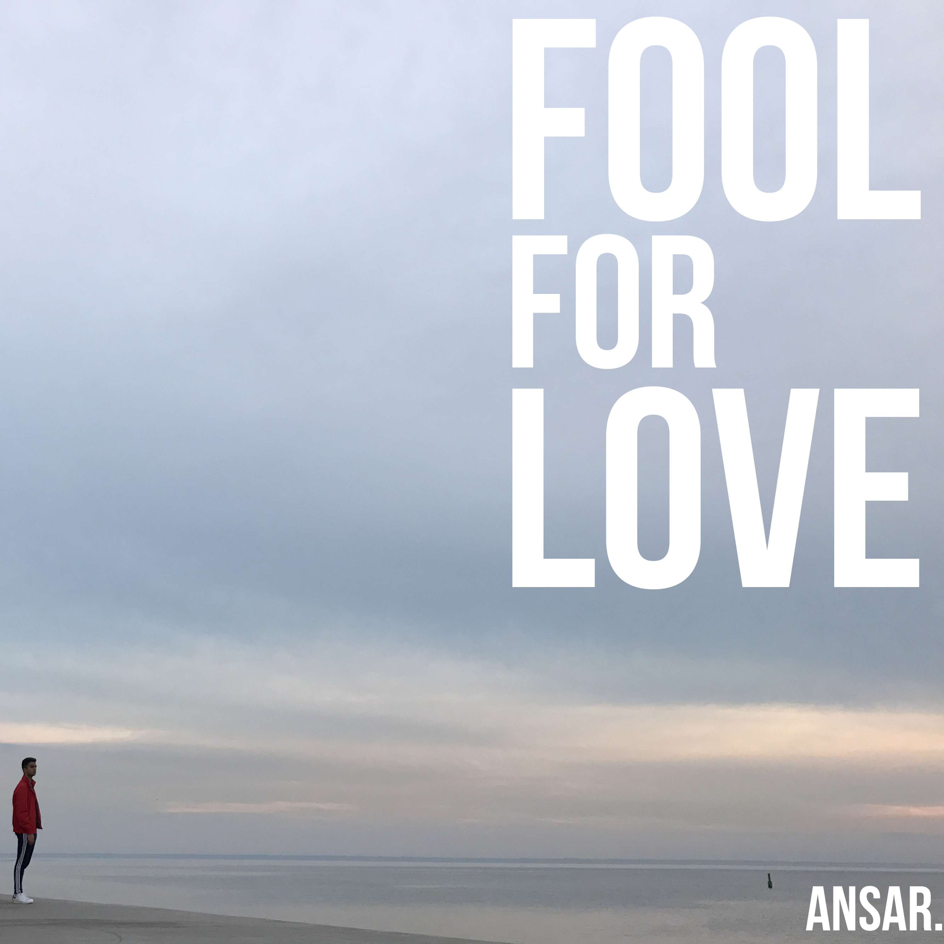 Fool For Love - ansar. episode artwork