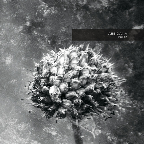 Borderline (remaster)
