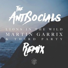 Martin Garrix & Third Party - Lions In The Wild ( The Antisocials Remix )
