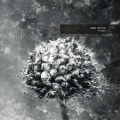 Tree.Some (remaster)