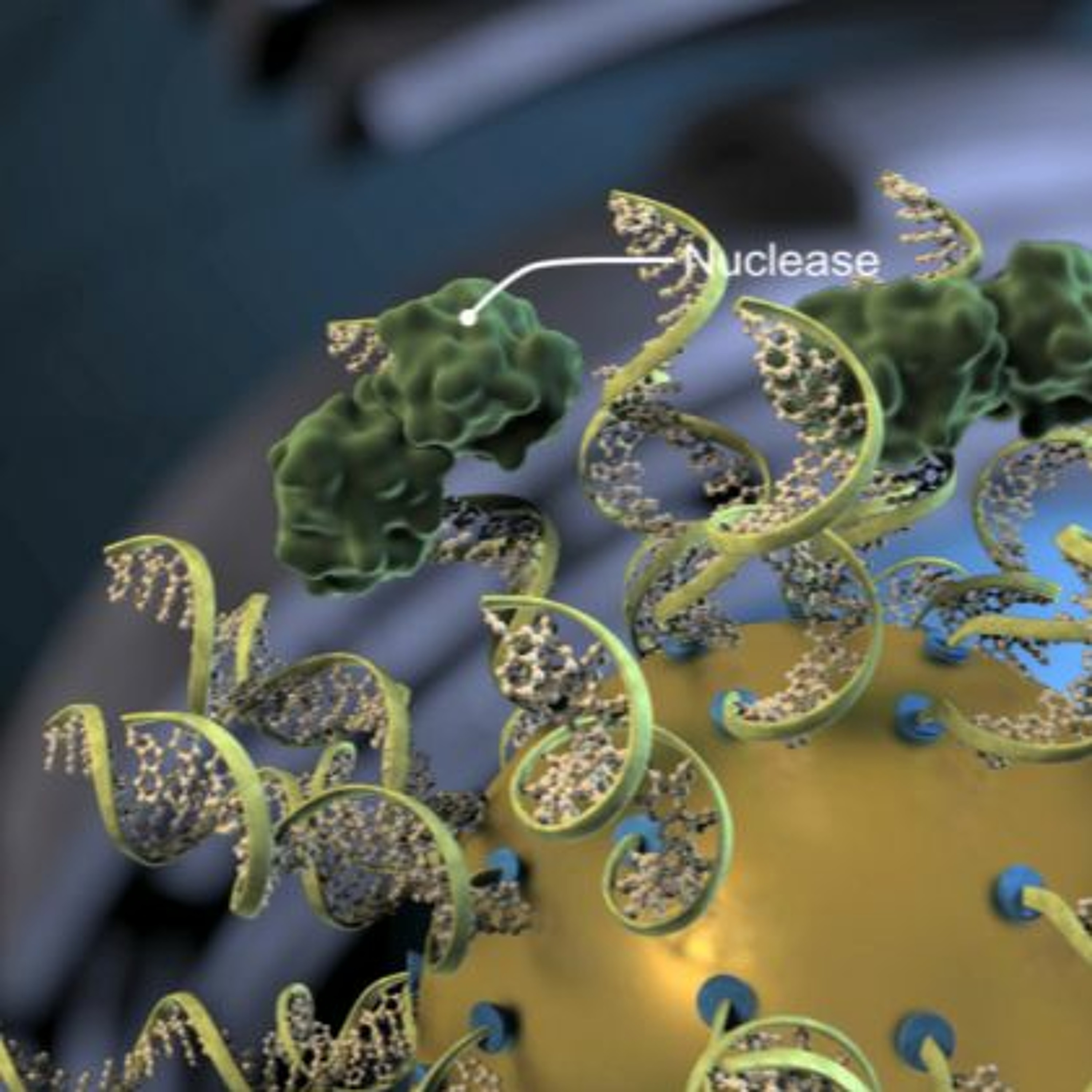 Pixar Meets Medicine. The Power of Scientific Animations. Conversation with Quintin Anderson. episode artwork