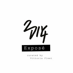2DIY4 Exposé - curated by Vittoria Fleet