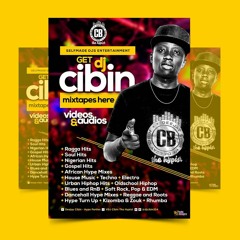 2017-Dj Cibin- Soft Rock vs EDM vs House MIX 6.mp3
