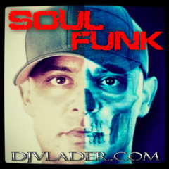 Soul Funk Classics Wild 13 [Clean]
