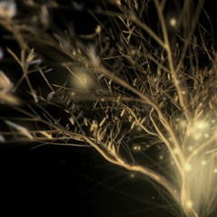 Ars Karolina - Stardust