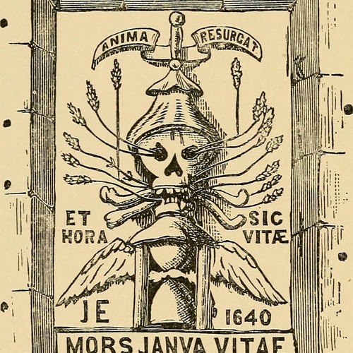 Overload (Prayer for the Soft Boy)