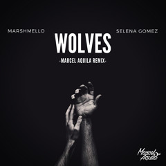 Marshmello & Selena Gomez - Wolves (Marcel Aquila Remix)