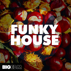 Funky House | 1,6 GB Of Kits, Spire Presets, Drums, Loops & More!