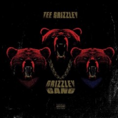 Tee Grizzley "Grizzley Gang" (WSHH Exclusive - Official Audio)