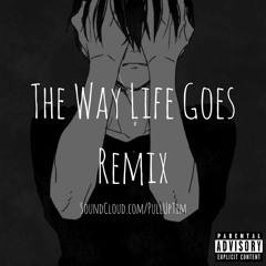 The Way Life Goes Remix