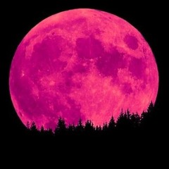 Pink Moon - Nick Drake (Dave Cover)