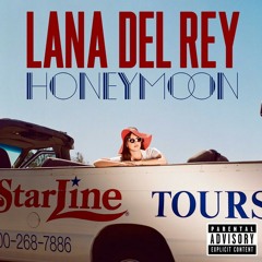 Lana Del Rey - Don't Let Me Be Missunderstood (Instrumental)