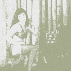 The Solar Anus (Part II)