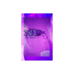 CODEINE IN MY SYSTEM