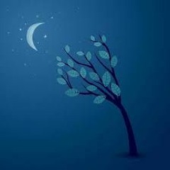 Eyes-N-Tall Streaming Music