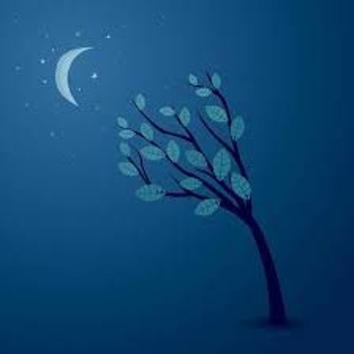 Eyes-N-Tall Streaming Music