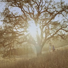 INTIMATE DRAMA - AUTHOR - SAD - ROMANTIC - MELANCHOLIC