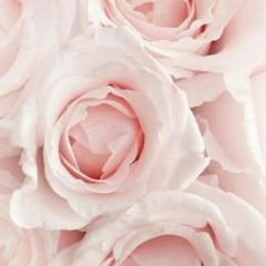 Barsena - Hasrat jiwa