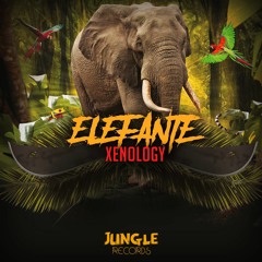 Xenology - Elefante (Original Mix) [JUNGLE RECORDS EXCLUSIVE]