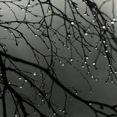Rainwalk