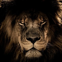 Abinadi Meets George Benson in New Zealand