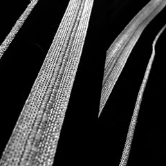 Album prieview "Abdrift"